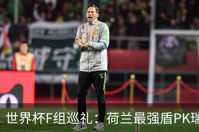 世界杯F组巡礼：荷兰最强盾PK瑞典犀利刀 日本短板明显