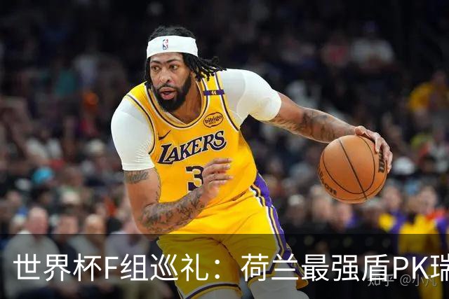 世界杯F组巡礼：荷兰最强盾PK瑞典犀利刀 日本短板明显